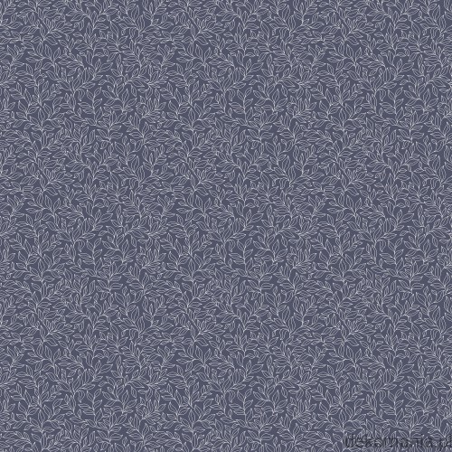 G56697.jpg