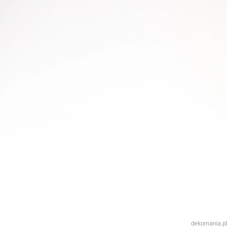 2975-10.jpg