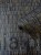 DWP0362-09_3.jpg