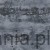DWP0356-05.jpg