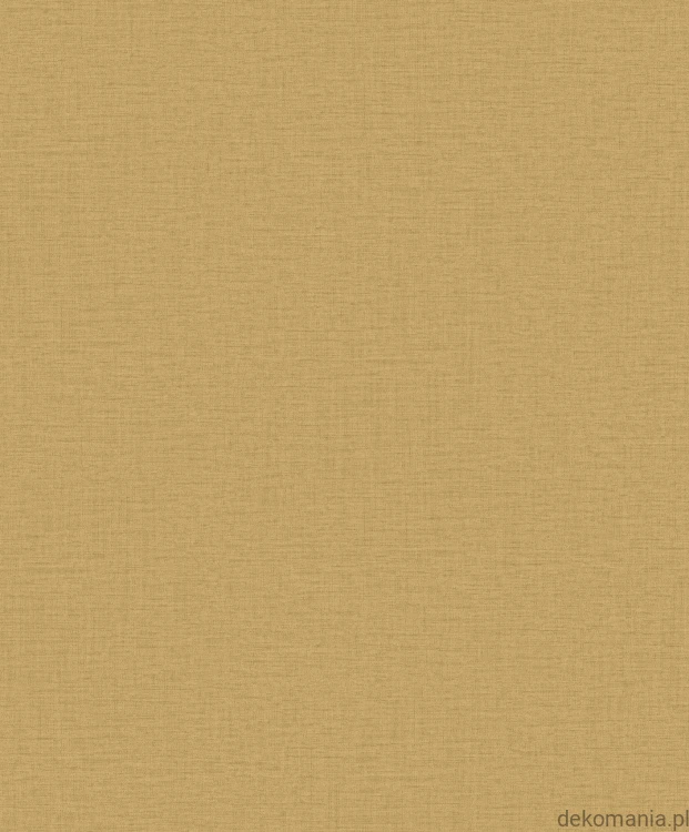 LB25127.jpg