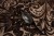 LB25168_5.jpg