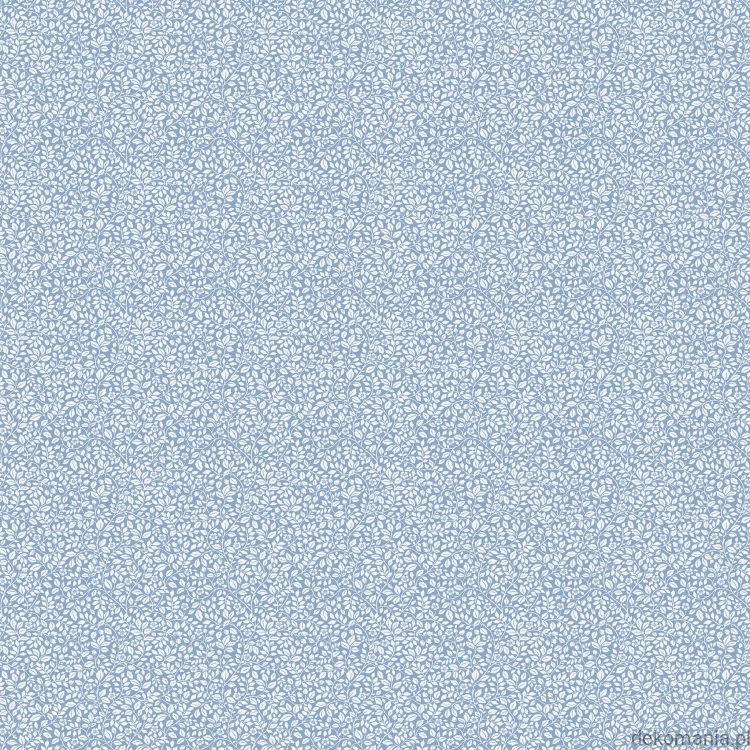 G68704.jpg