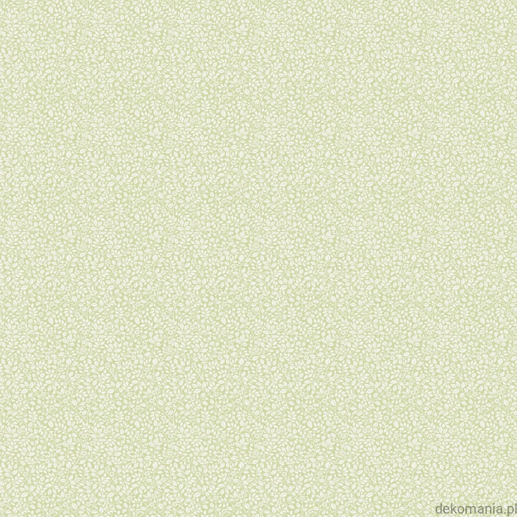 G68708.jpg