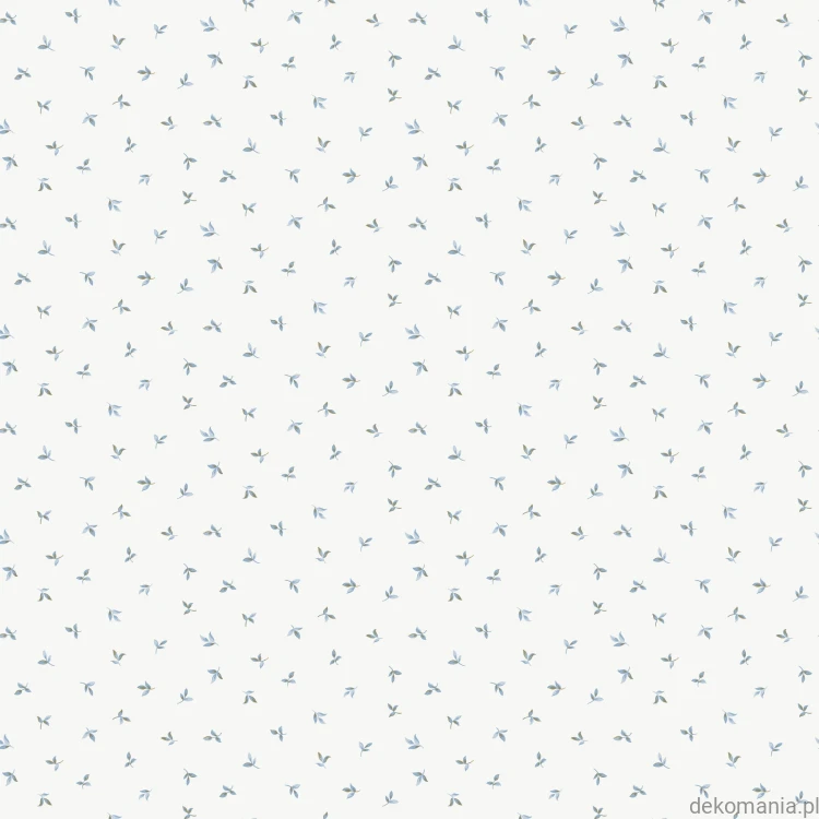 G68719.jpg