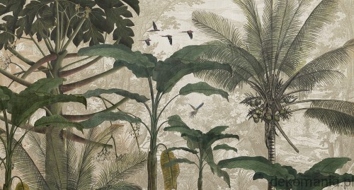 Fototapeta na wymiar afrykańska dżungla  Living Things MU11022.jpg