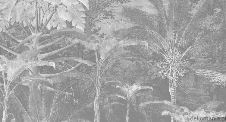 Fototapeta na wymiar afrykańska dżungla  Living Things MU11024.jpg
