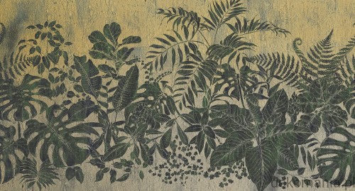 Fototapeta na wymiar roślinność na jednolitym tle Botanical MU11046.jpg