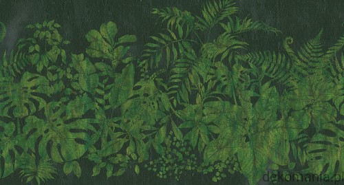 Fototapeta na wymiar roślinność na jednolitym tle Botanical MU11047.jpg