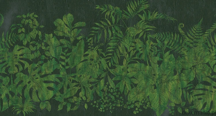Fototapeta na wymiar roślinność na jednolitym tle Botanical MU11047.jpg
