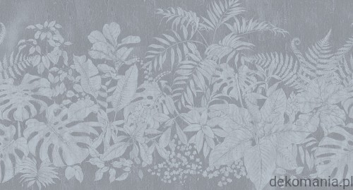 Fototapeta na wymiar roślinność na jednolitym tle Botanical MU11048.jpg
