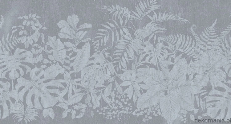 Fototapeta na wymiar roślinność na jednolitym tle Botanical MU11048.jpg