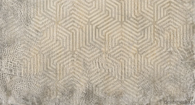 Fototapeta na wymiar krokodyli wzór na geometrycznym tle Geodile MU11052.jpg