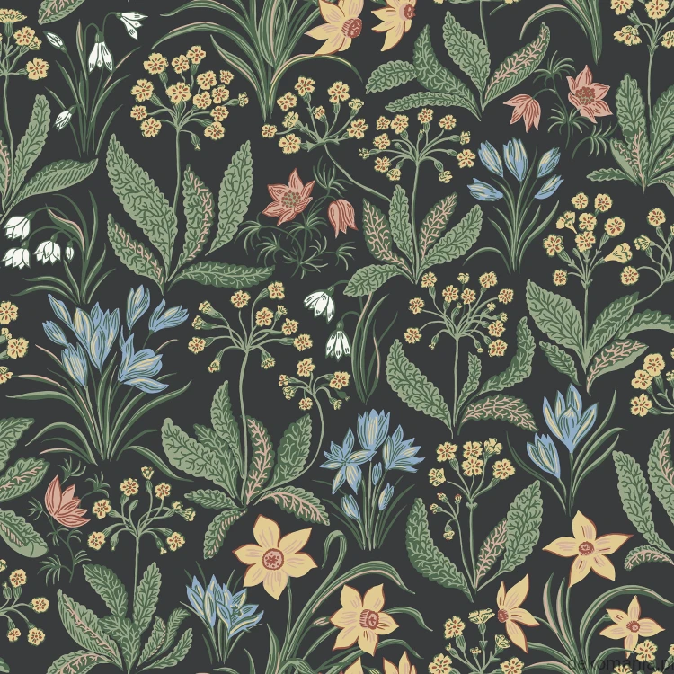 S10161_image1.jpg
