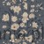 S10163_image1.jpg