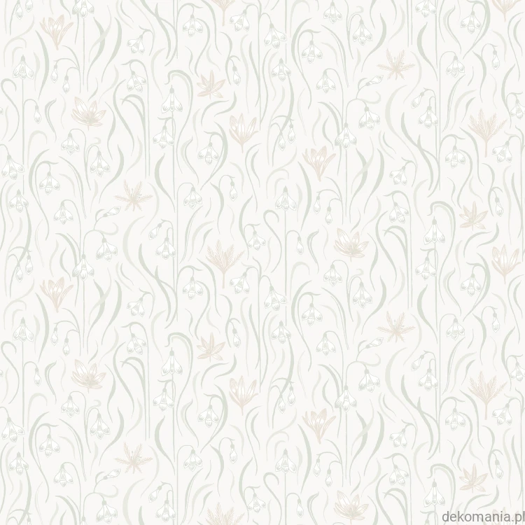 S10157_image1.jpg