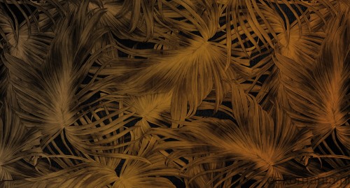 Fototapeta na wymiar tropikalne liście nocą Passion leaf MU11067.jpg