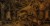 Fototapeta na wymiar tropikalne liście nocą Passion leaf MU11067.jpg