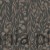 S10117_image1.jpg