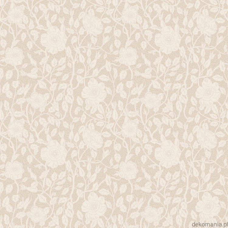 S10567_product.jpg