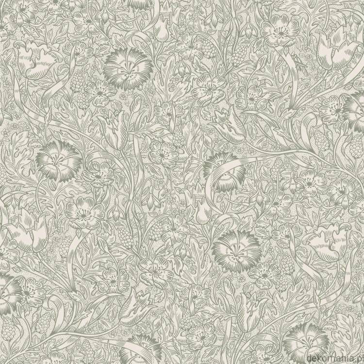 S10210_product.jpg
