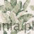 S10433_Tom_Garden-Green_Sandberg-Wallpaper_product.jpg
