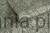 LB25136_3.jpg