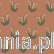 S10636_product.jpg